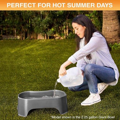 Extra Large Water Bowl for Dogs, Outdoor Dog Water Bowl (1.25 Gallon XL Capacity), Big Trough Style Food Dish for Indoors or Outside, No Spill Large Dog Bowls, Gunmetal Grey