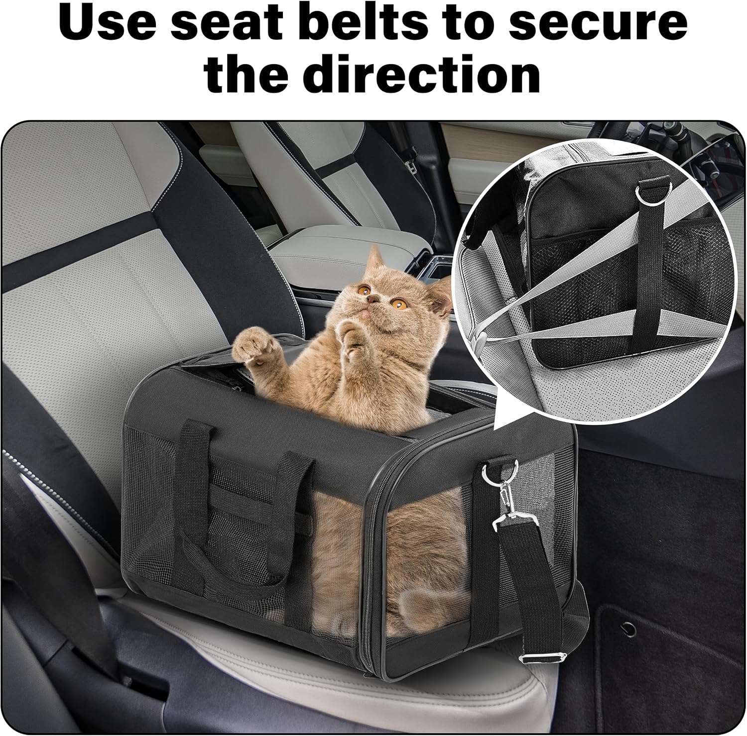 Pet Travel Carrier Soft Sided Portable Bag for Cats, Small Dogs, Kittens or Puppies, Collapsible, Durable, Airline Approved, Travel Friendly (Grey, 17.0" L X 10.0" W X 11.0" H) (Black)